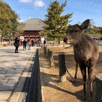 Photo taken at Todai-ji Temple by So S. on 2/5/2018