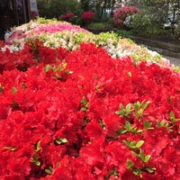 Photo taken at 氷川神社(豊玉氷川神社) by So S. on 4/24/2016