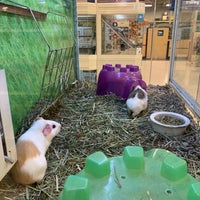 Photo taken at PetSmart by Luo on 3/2/2019