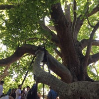 Photo taken at Tarihi Doğu Çınarı by Ahmet S. on 6/25/2017