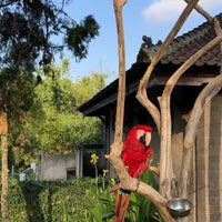 Photo taken at Bali Bird Park by Ibrahim S. on 9/24/2019