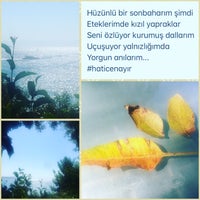 Photo taken at Bomonti Çay Bahçesi by Hatice N. on 10/6/2017