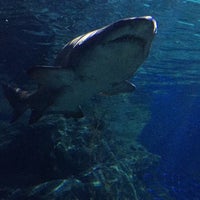 Photo taken at Ocean World by ALa&amp;#39;a 🩰🎀 on 4/20/2016