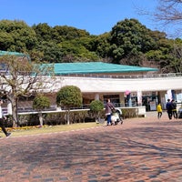 赤塚山公園 ぎょぎょランド 8 Tips From 447 Visitors 赤塚山公園 ぎょぎょランド 8 Tips From 447 Visitors