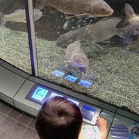 赤塚山公園 ぎょぎょランド 8 Tips From 442 Visitors 赤塚山公園 ぎょぎょランド 8 Tips From 442 Visitors