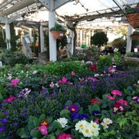 Photo taken at Clifton Nurseries by Pavlína G. on 1/14/2022