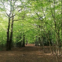 Photo taken at Highgate Wood by Pavlína G. on 5/7/2021