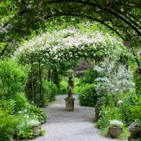 蓼科高原バラクライングリッシュガーデン Jardim