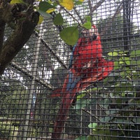 Photo taken at Parrot Paradise by RUM.C on 1/23/2016
