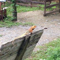 Photo taken at Celestial Ubin Beach Resort by Taku 目. on 4/26/2015