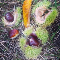 Coopersville, MI - City