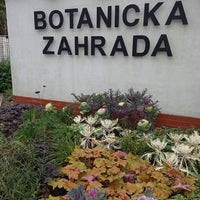 Photo taken at Botanická zahrada by Sergej R. on 11/12/2023