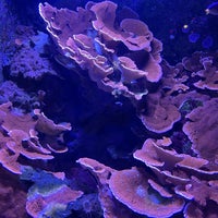 Photo taken at Sea Life London Aquarium by Lee K. on 12/28/2023