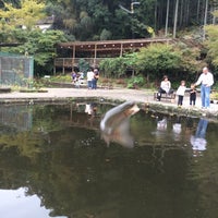 養老渓谷釣堀センター Fishing Spot In 大多喜町