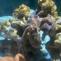 Photo taken at SEA LIFE München by Tannaz K. on 9/30/2021