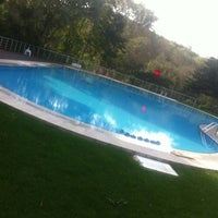 sile sesa evleri havuz pool in cayirbasi