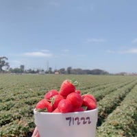 Foto diambil di U-Pick Carlsbad Strawberry Co. oleh Ahlam pada 7/12/2022