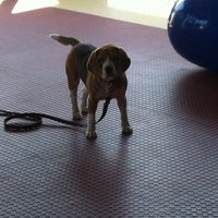 Photo taken at Bravo Perro Fitness by Rox N. on 2/13/2013
