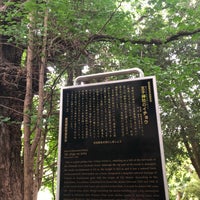 Photo taken at 王子神社のイチョウ by T T. on 5/18/2021