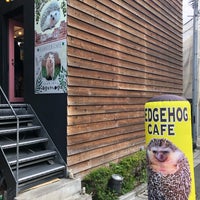 Photo taken at Harry Hedgehog Cafe by T T. on 3/21/2019