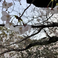 Photo taken at Hiroshima Peace Memorial Park by T T. on 3/30/2024