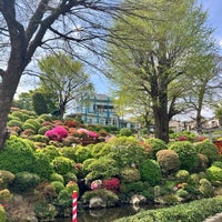 Photo taken at Nezu-jinja Tsutsujien Garden by T T. on 4/11/2024