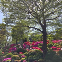 Photo taken at Nezu-jinja Tsutsujien Garden by T T. on 4/13/2023