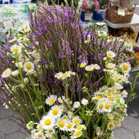 Photo taken at 79th Street Greenmarket by Caitlin C. on 7/17/2022