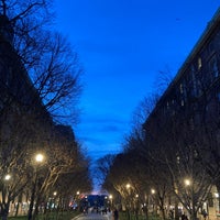 Photo taken at Columbia University by Caitlin C. on 4/9/2024