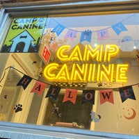 รูปภาพถ่ายที่ Camp Canine โดย Caitlin C. เมื่อ 10/28/2022