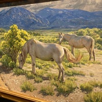 Снимок сделан в National Cowboy &amp;amp; Western Heritage Museum пользователем Caitlin C. 7/4/2023