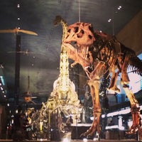 北九州市立 いのちのたび博物館 - 八幡東区 - 9個のTips