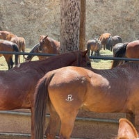 Photo taken at Sunset Ranch Hollywood Stables by Rand on 7/5/2023