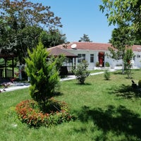 arap pprno biyometrik fotoğraf çekilirken hangi renk giyilmeli