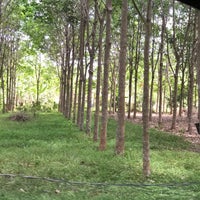 Jln Kg Mata Air Pokok Sena Kedah