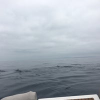 Снимок сделан в Capt. Dave&amp;#39;s Dana Point Dolphin &amp;amp; Whale Watching Safari пользователем Katie B. 6/27/2018