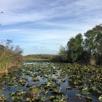 Foto scattata a Everglades Nature Tours da Katie B. il 1/16/2018