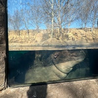 Foto tomada en Cincinnati Zoo &amp;amp; Botanical Garden  por Katie B. el 2/11/2024