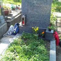 Photo taken at Vršovický hřbitov by Eranthis h. on 5/19/2020