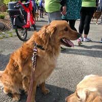 Photo taken at Magnuson Playground by Hongzhao H. on 4/21/2019