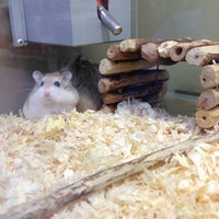 Photo taken at Pets at Home by Naghmeh H. on 6/1/2013