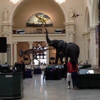 Photo taken at The Field Museum by Whittallica on 6/4/2013
