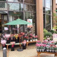二楽園 お花屋さん 本山 岡本1丁目 二楽園 お花屋さん 本山 岡本1丁目