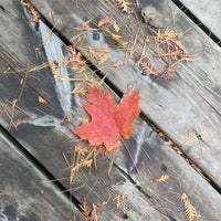 How to start With Upper Peninsula Archives