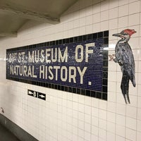Photo taken at MTA Subway - 81st St/Museum of Natural History (B/C) by ハル on 12/8/2022