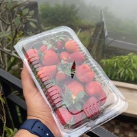 Photo taken at Bali Strawberry by Khalid . on 9/30/2022