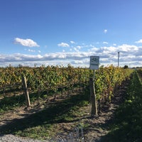 10/26/2017 tarihinde Irene C.ziyaretçi tarafından Pondview Estates Winery'de çekilen fotoğraf