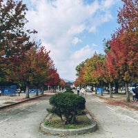 西武庫公園 交通公園 6 Tips From 2 Visitors 西武庫公園 交通公園 6 Tips From 2 Visitors