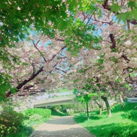 Photo taken at さくらの散歩道 by garden on 4/19/2016