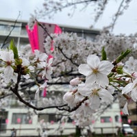 Photo taken at 朝日橋 by みんち *. on 4/5/2024